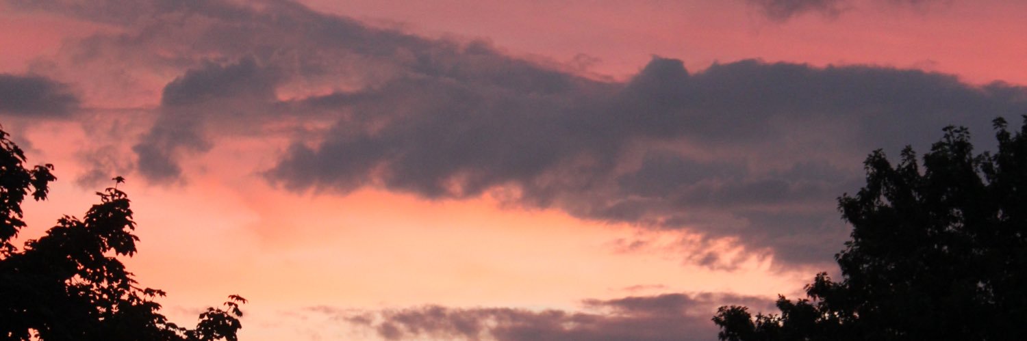 BJTuininga's profile banner image