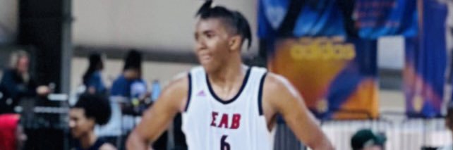 Ralph Tamosko banner