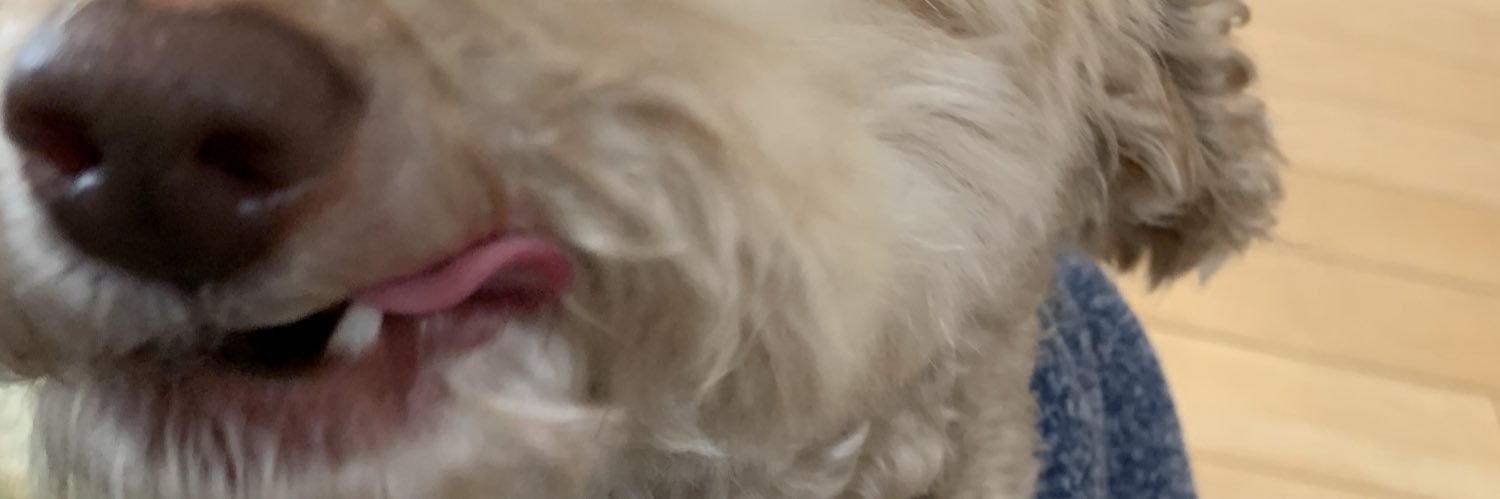 chiyu_15's profile banner image