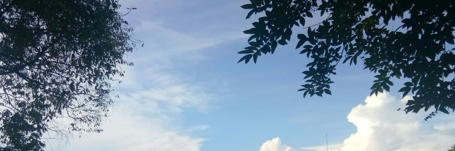 magarons's profile banner image