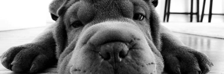 KatieGebauer's profile banner image