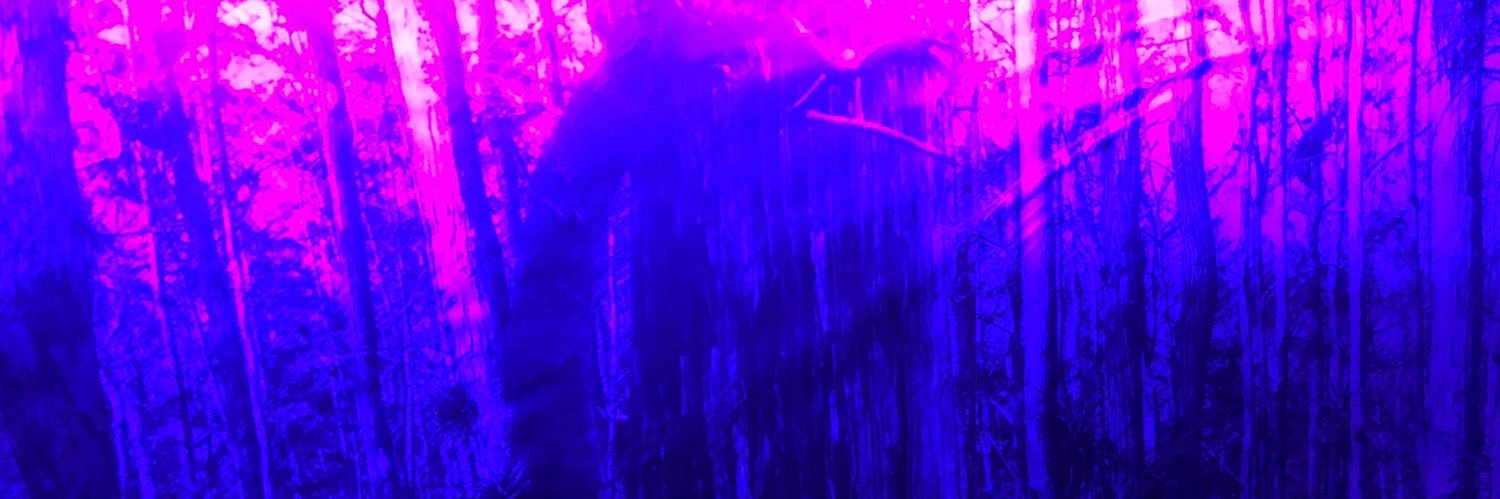 Daniel Olea banner