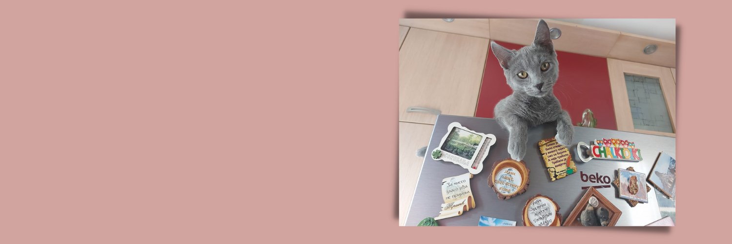 jecamis's profile banner image