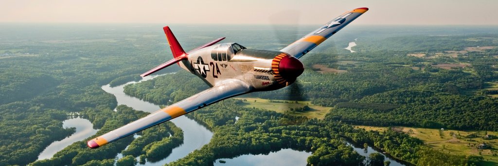 cafredtail's profile banner image