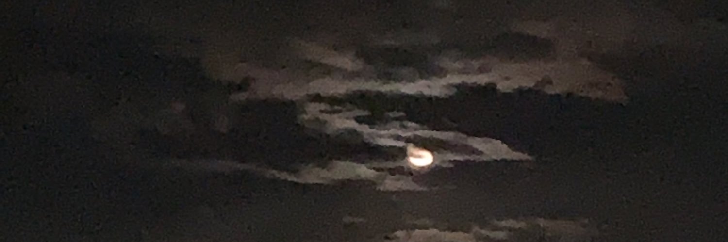 Official_Lexxii's profile banner image