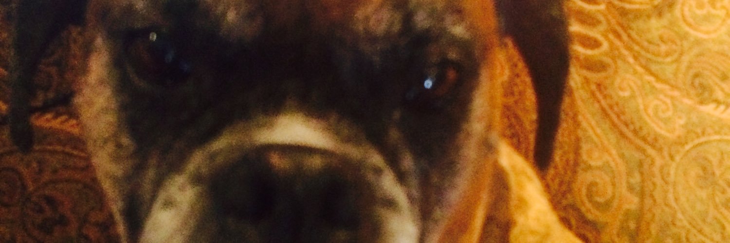 howardbruce2's profile banner image