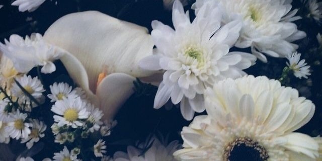hollbug_xox's profile banner image