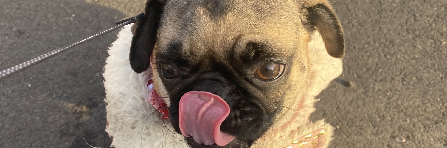 𝒏𝒐𝒗𝒂 ♏️ banner