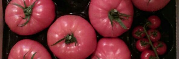 Кирилл Дементьев (Kirill Dementyev) banner