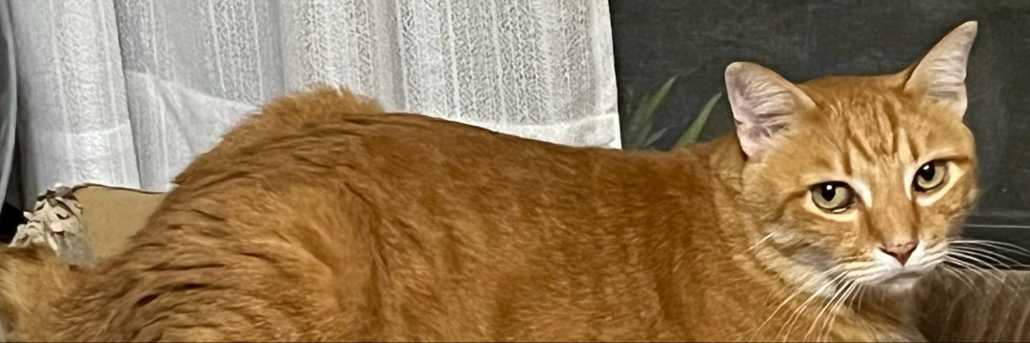 sin0532's profile banner image