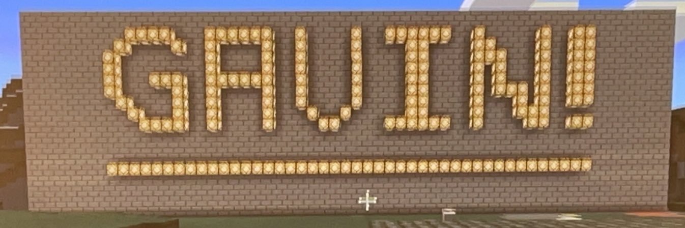 Gavin Robinson banner