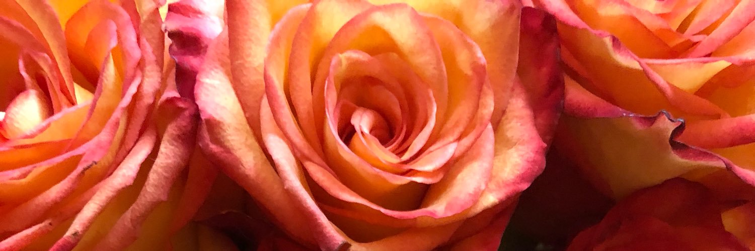 sumvia1's profile banner image