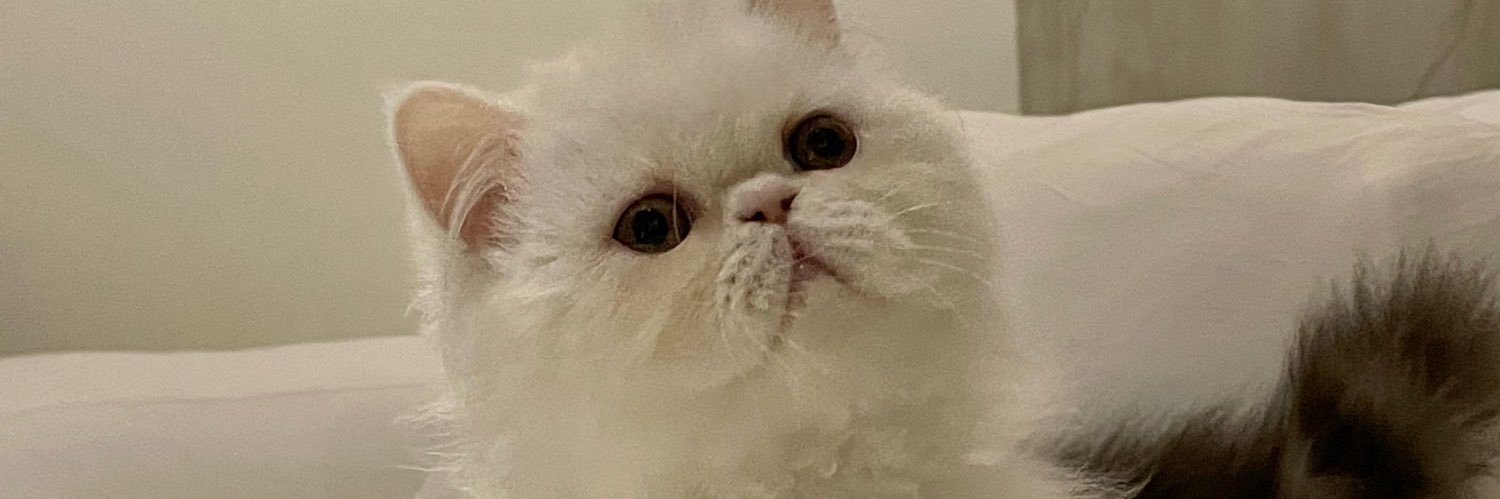 denieldame's profile banner image