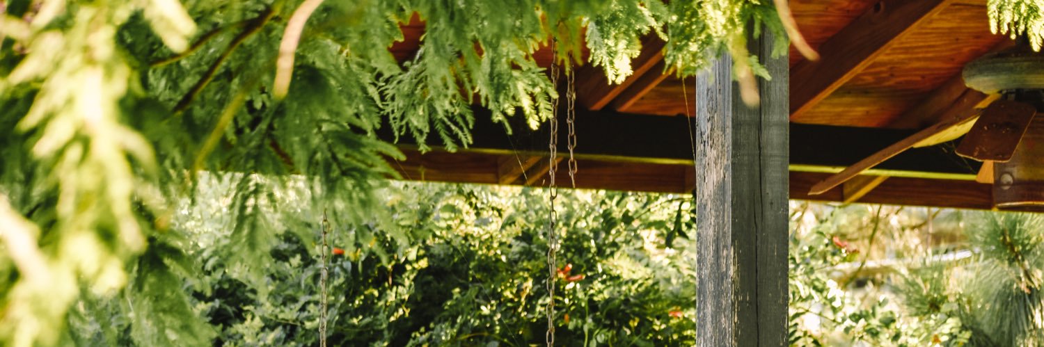 thisissupercal's profile banner image
