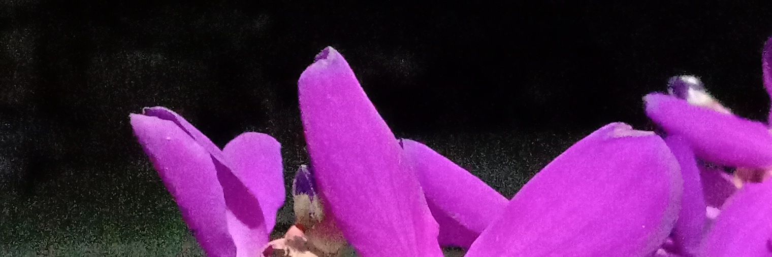 AI_amini's profile banner image