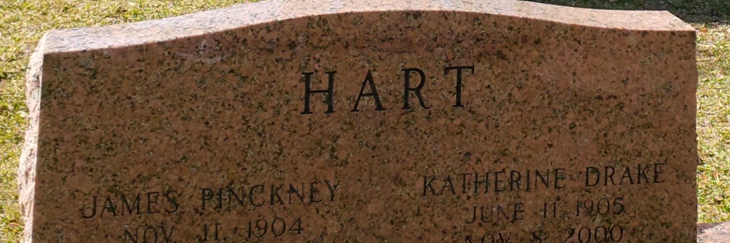 lillycarrel's profile banner image