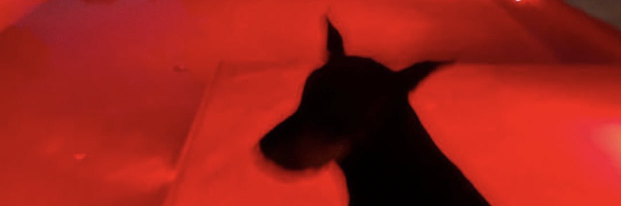 nlugesya's profile banner image