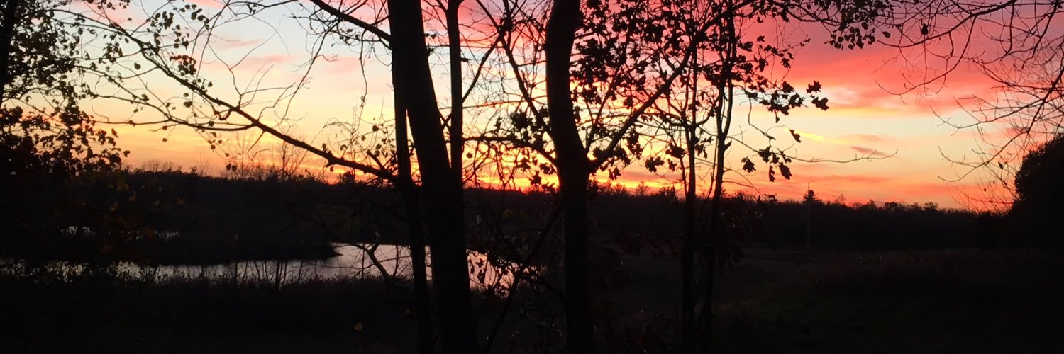 Jennifer_Blain's profile banner image