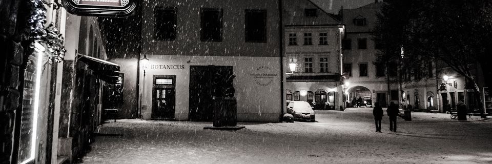 Enzo Vercetti banner