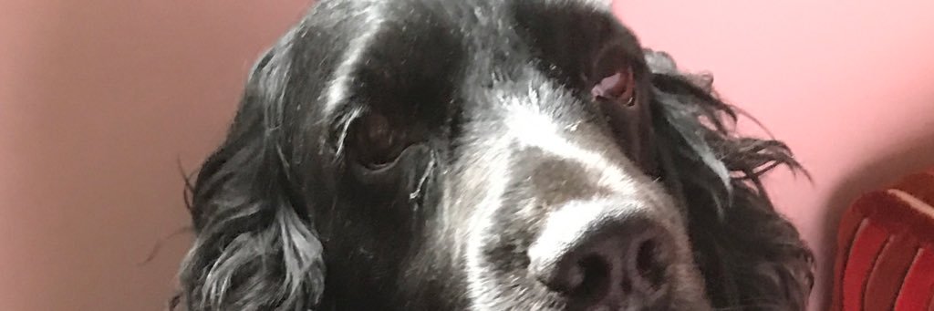 athososta's profile banner image