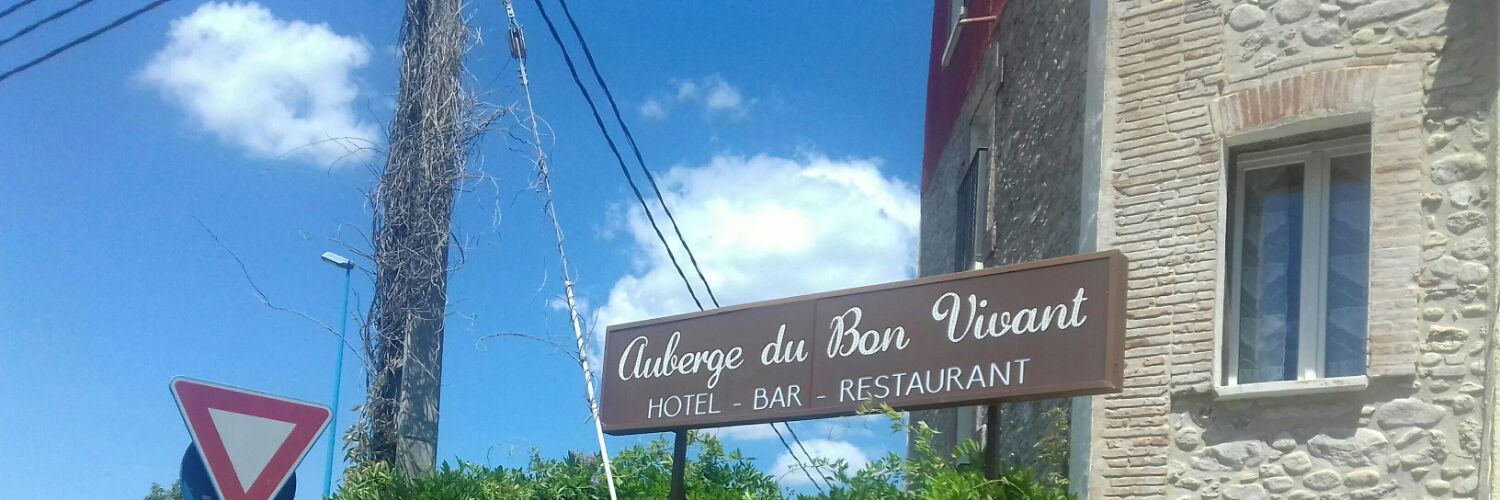 Branko Radojicic banner