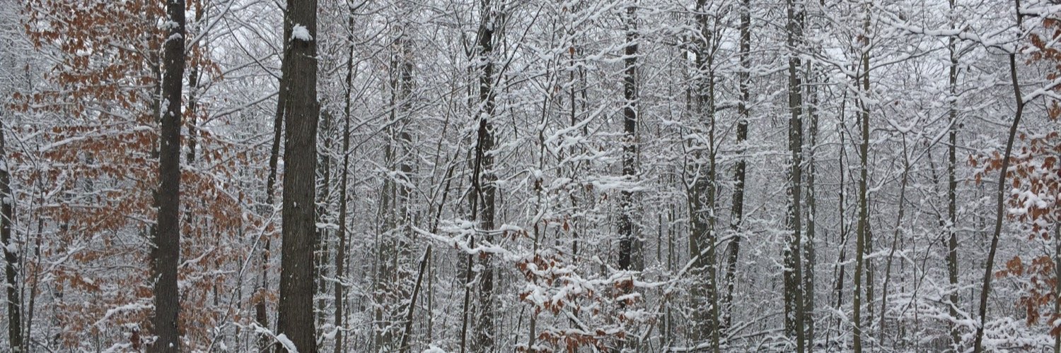 rick_roc's profile banner image