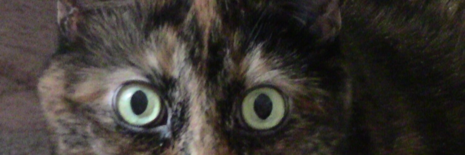 Yvonne Mallard banner