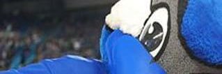 sandradee56's profile banner image
