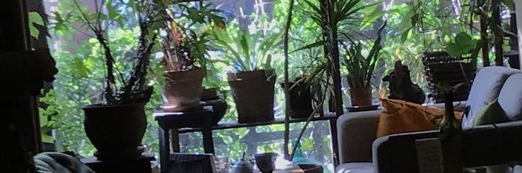 はっち〜🏠 banner