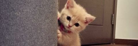 Nadirss_'s profile banner image