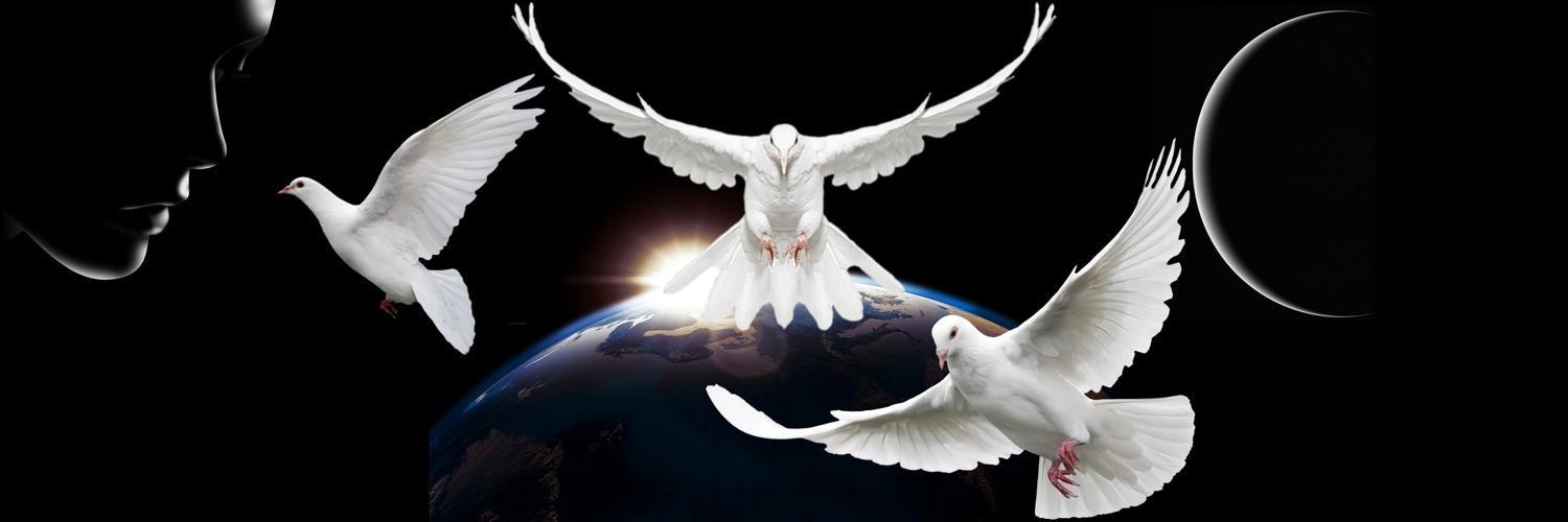 EricAlonzoLee's profile banner image
