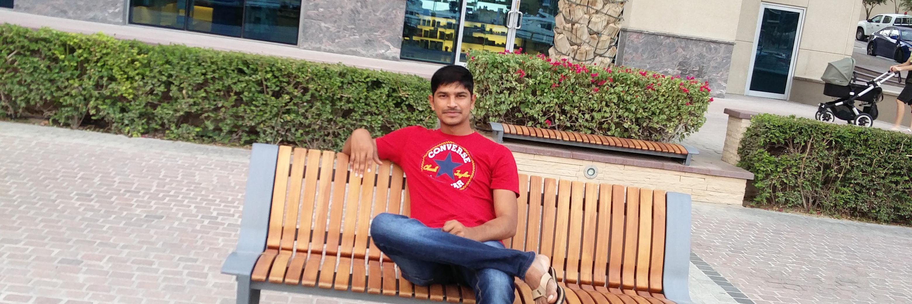 Balu banner