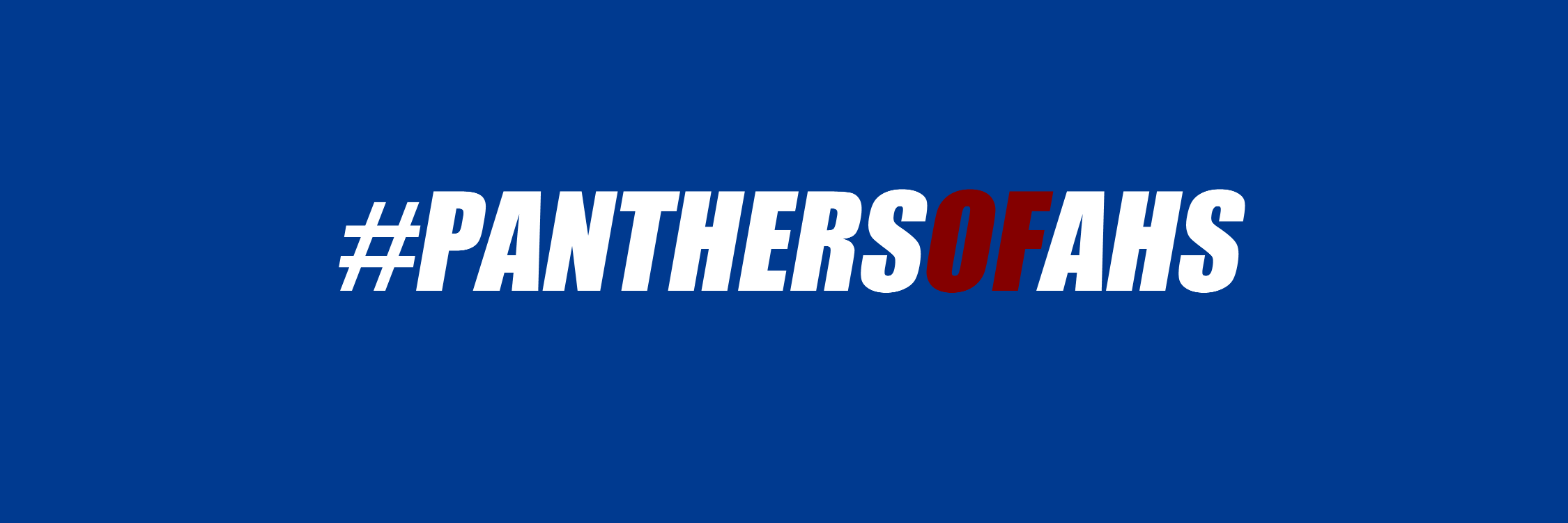 Annapolis Panthers Athletics banner