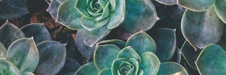 MaggieeJo's profile banner image