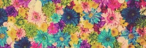 jozz_ars's profile banner image