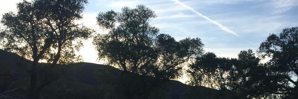 ledya_estephany's profile banner image