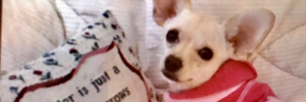 Annette B. Bailey banner