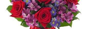 B1234559's profile banner image