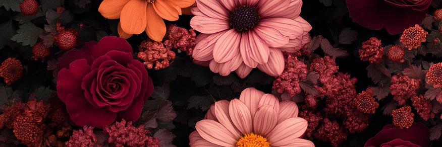 _Cheyanneeeee_'s profile banner image