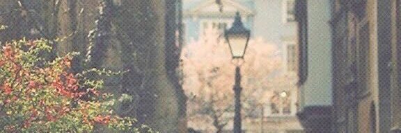 tloo_205's profile banner image