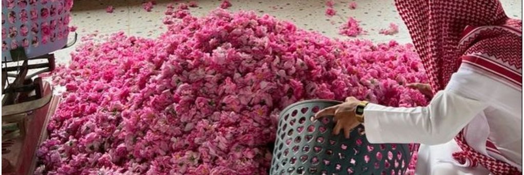 MediaCenterAA's profile banner image