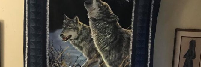 Wolfey39's profile banner image
