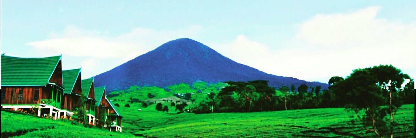 Disparpagaralam's profile banner image