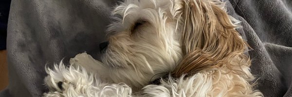 BiffCheddarhead Profile Banner