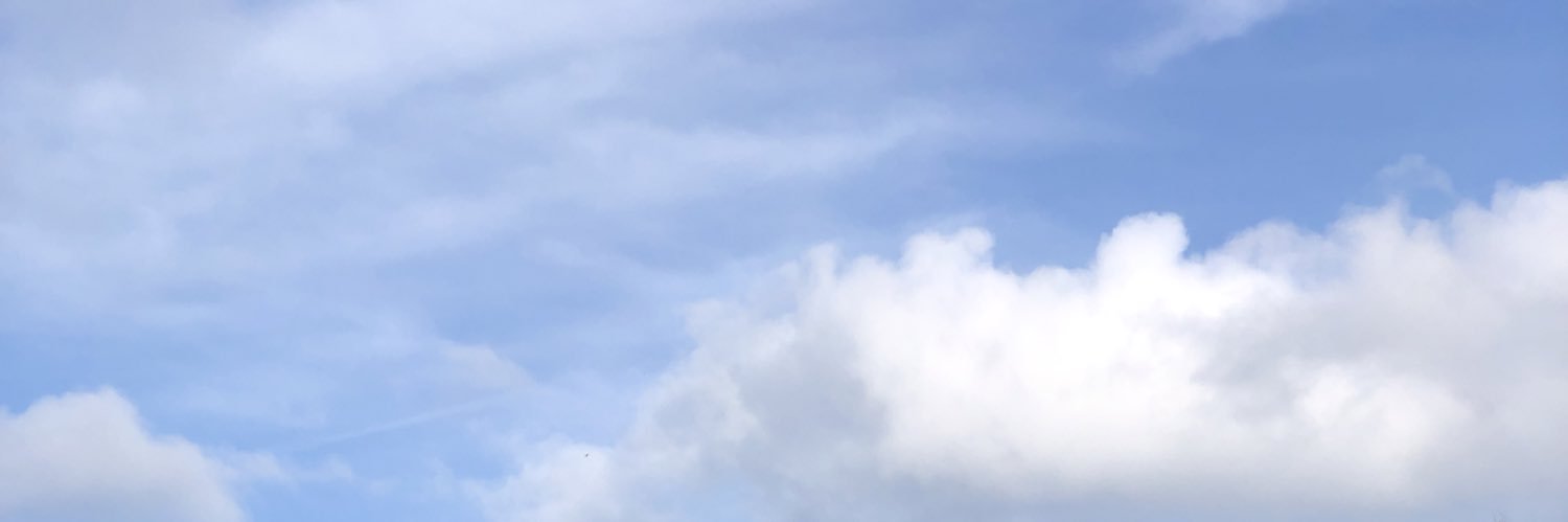 PauPintener's profile banner image