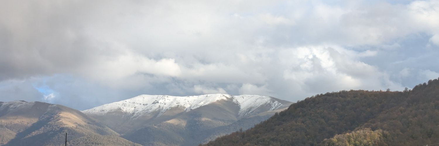 MisleadingCrumbs banner