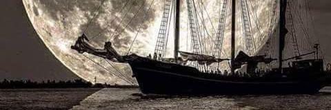 meriel_sr's profile banner image