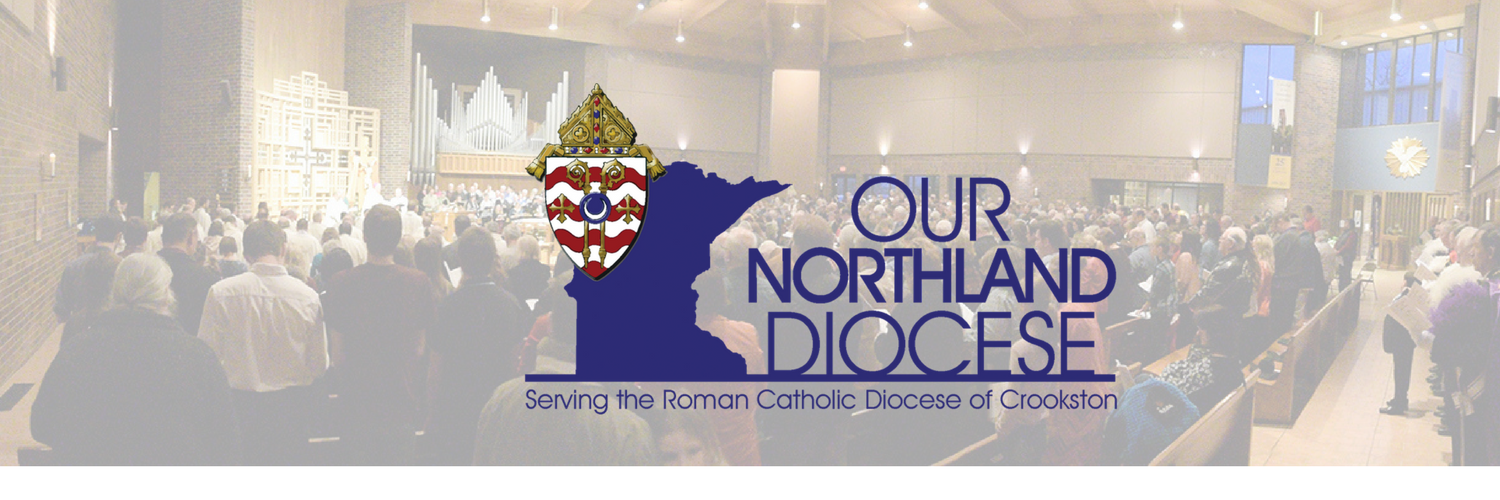 OurNorthlandDiocese banner