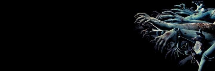 leite_michelle's profile banner image