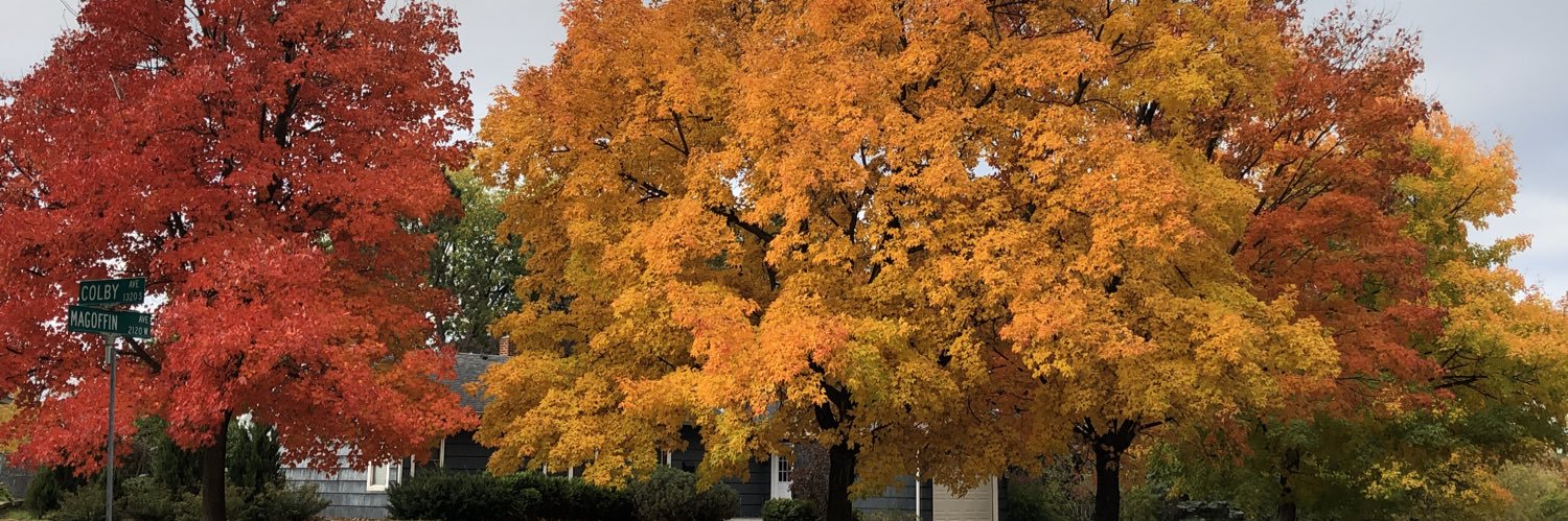 Michelle T Traversie banner